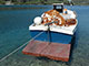 Fishing boat